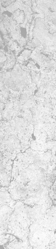 walltowallcarpetsprice.com